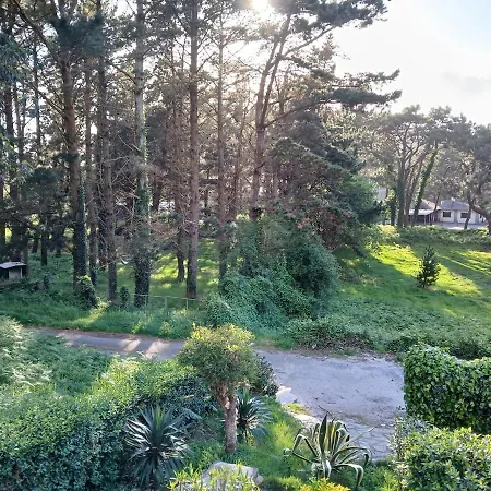 La Terraza De Isabel